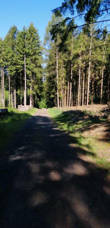 Ferienwohnung-Kiefer Hillscheid Kültér fotó